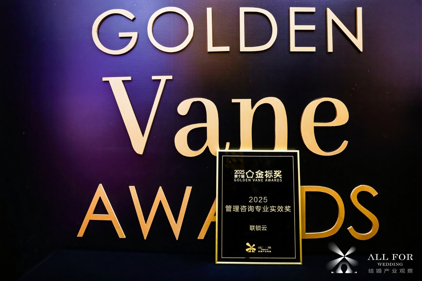 联锁云，荣获“2025管理咨询专业实效奖”